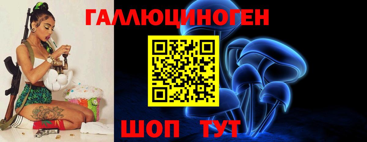 Междуреченск  Псилоцибиновые грибы MAGIC MUSHROOMS  где найти   Вход с VPN 